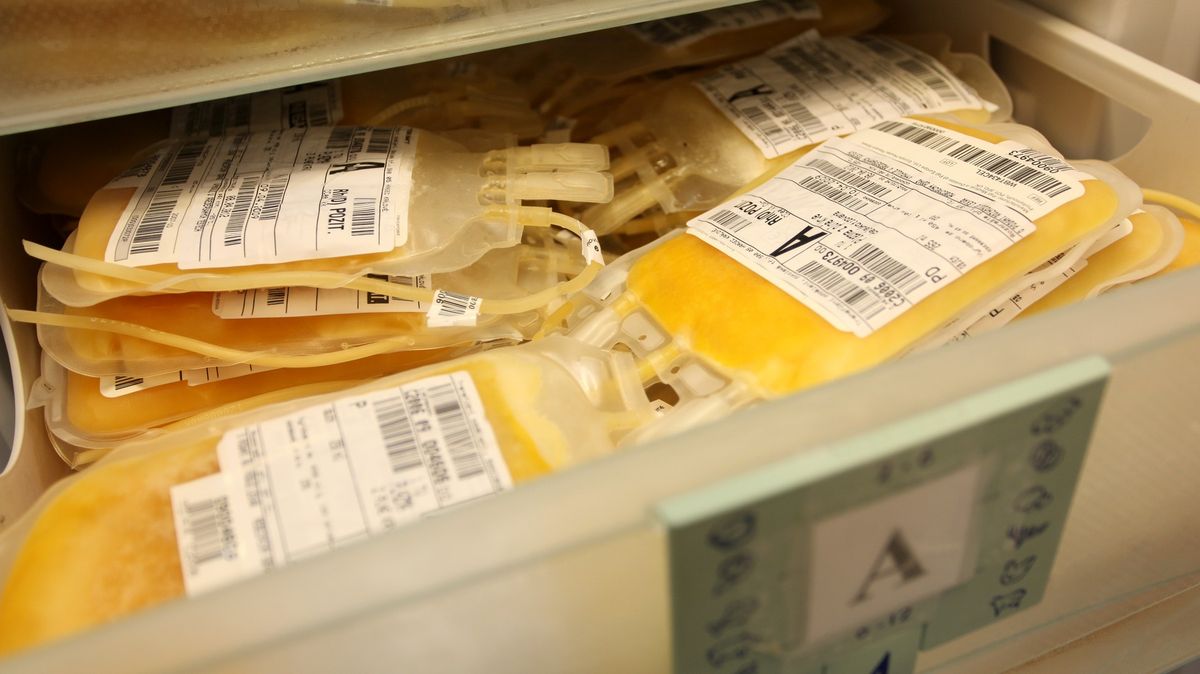 Rozsáhlá analýza dárců krve: Nakažených koronavirem může být i 80krát víc